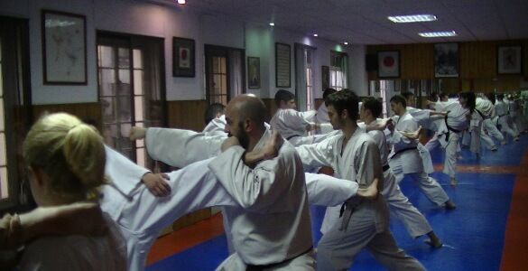 Gimnasio Karate Leon