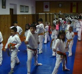 Gimnasio Karate Leon