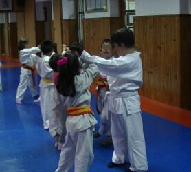 Gimnasio Karate Leon
