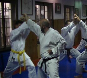 Gimnasio Karate Leon